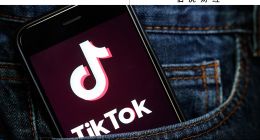有關(guān)TikTok危機：為什么和受影響的