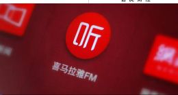 盈利2.24億元，能換來喜馬拉雅一個上市名額？