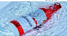 百威亞太，松動(dòng)的高端地位