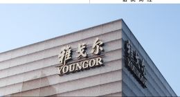 阿里都搞不定的銀泰，雅戈爾為何接手？