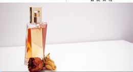 靠愛馬仕們發家致富，穎通控股“薅不動”了