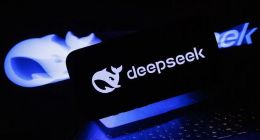 科技廠商們，“拒絕”DeepSeek的“獨角戲”？