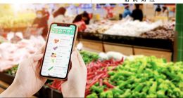 重啟小象超市線下店，美團的零售新野望