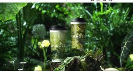 霸王茶姬走進(jìn)同一條胡同