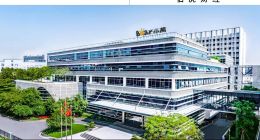 營(yíng)收、利潤(rùn)雙增背后的“價(jià)值革命”！解析小熊電器2025半年報(bào)