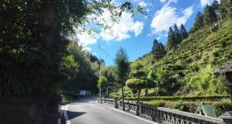 村口的土菜館上了高德掃街榜