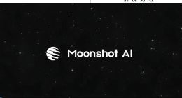 月之暗面，不想下牌桌